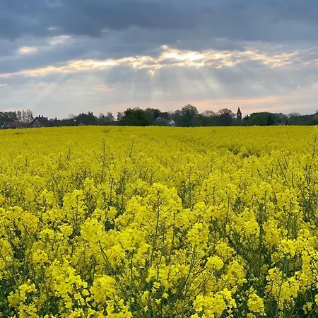 Luxus-ferienhaus Casa Sol